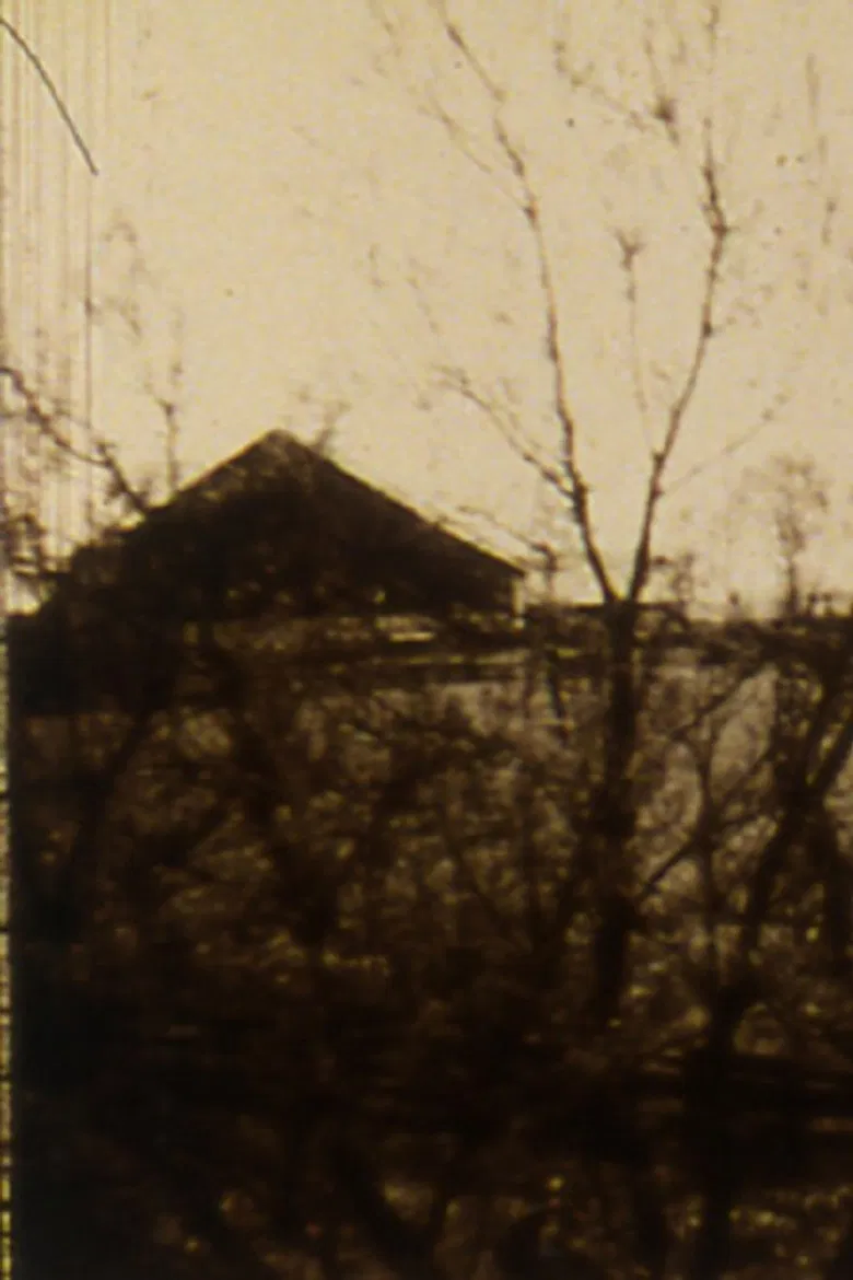 Tell Me What You Saw poster background