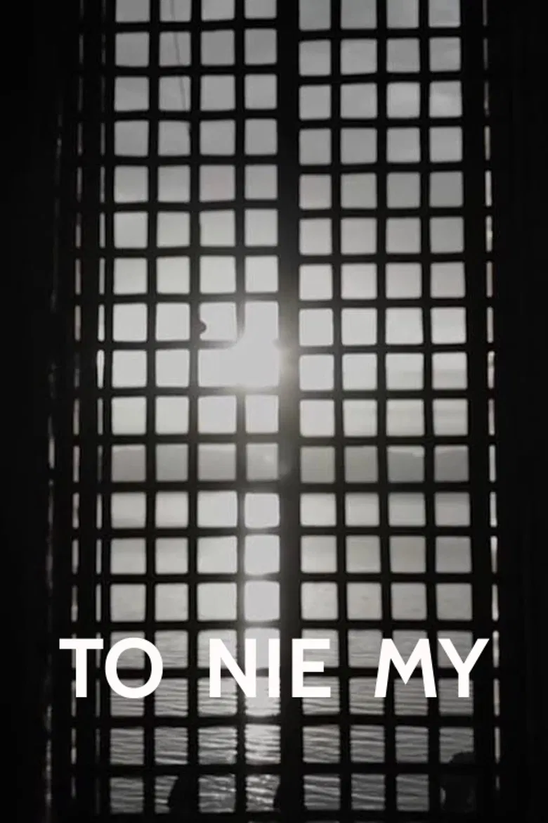 It's Not Us poster background