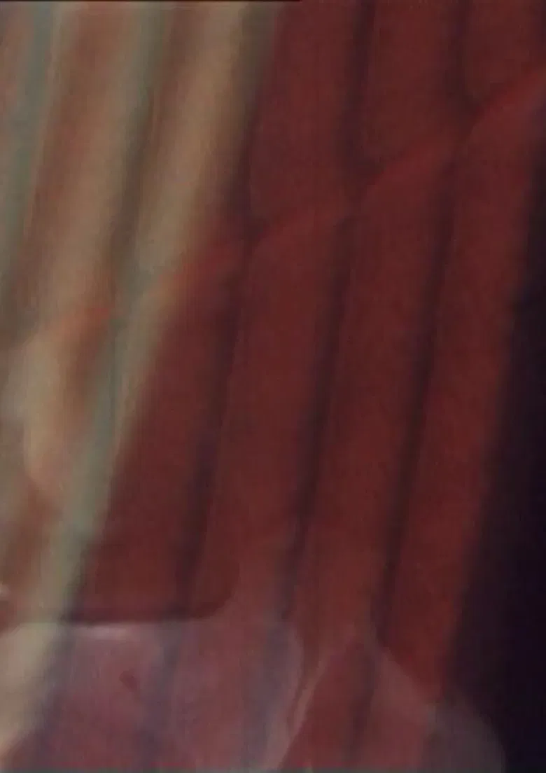 The Old Woman's Face, The Soup Tureen, Vreni Keller Speaks and Madame's Fanny poster background