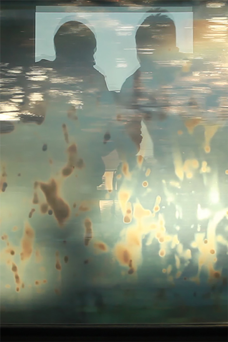 FLASH poster background