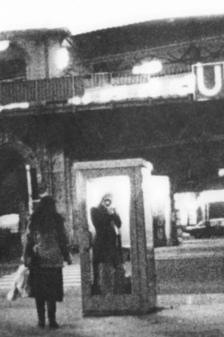 Das schlesische Tor poster background