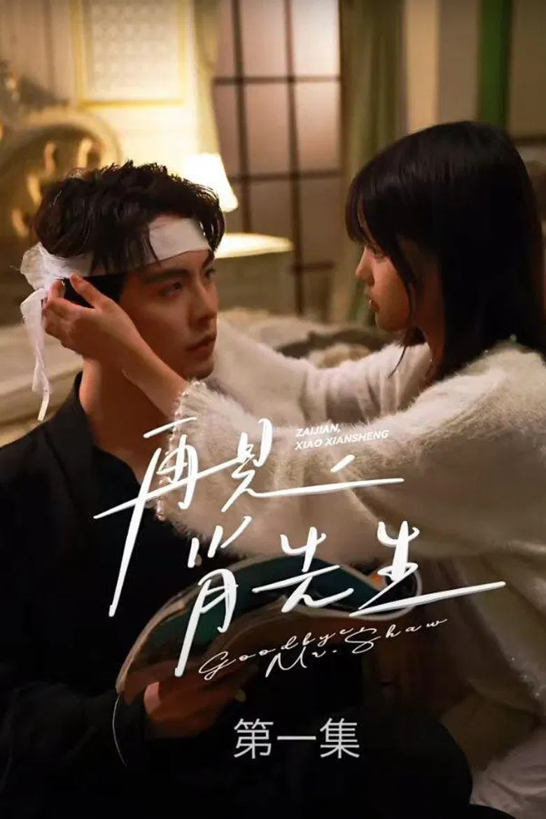 再见了，肖先生 poster background