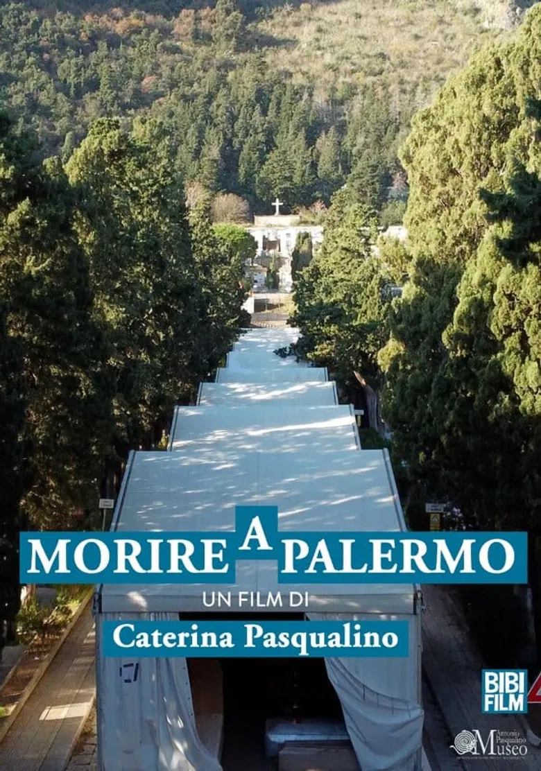 Morire a Palermo poster background