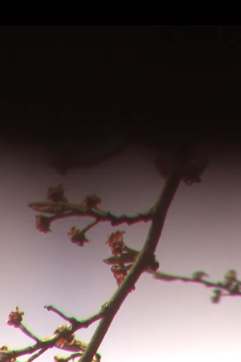 Nuestras Cartas poster background