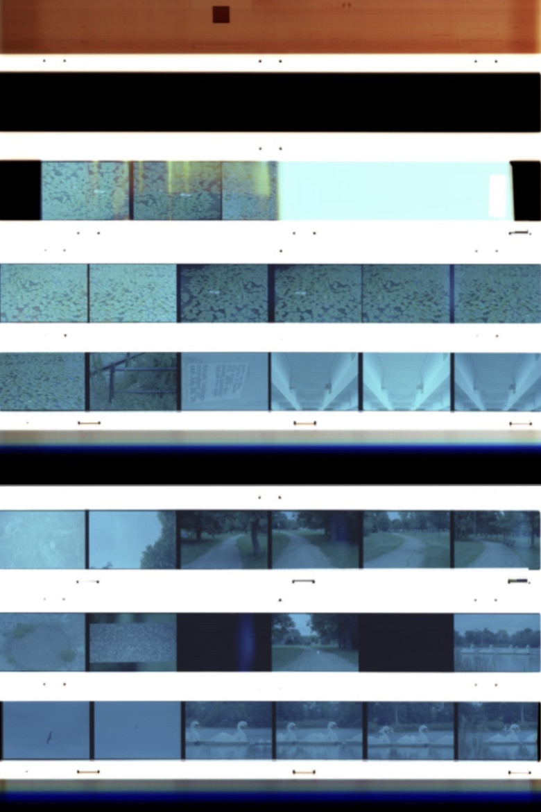 b l i n k poster background