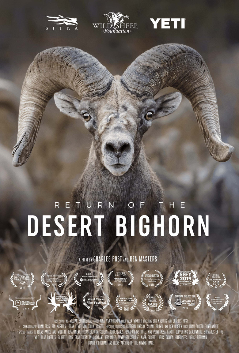 Return of the Desert Bighorn poster background