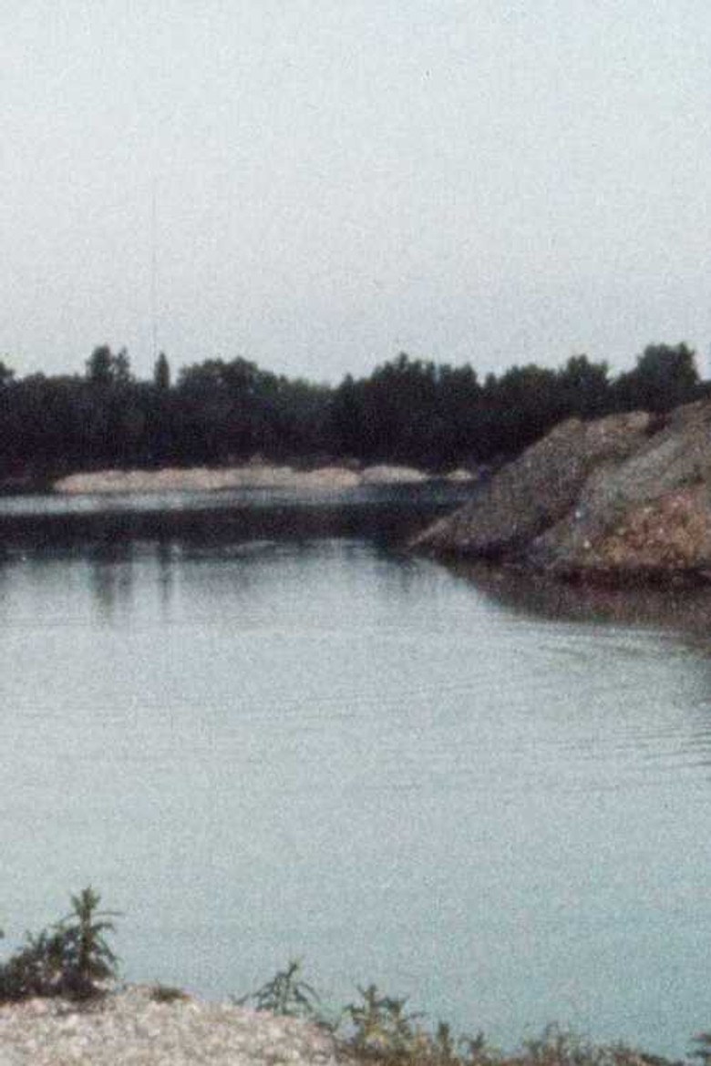 Les Ronds dans l'eau poster background