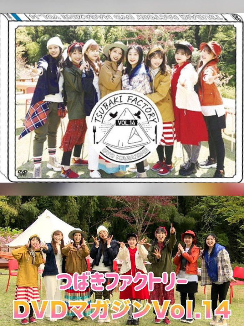 Tsubaki Factory DVD Magazine Vol.14 poster background