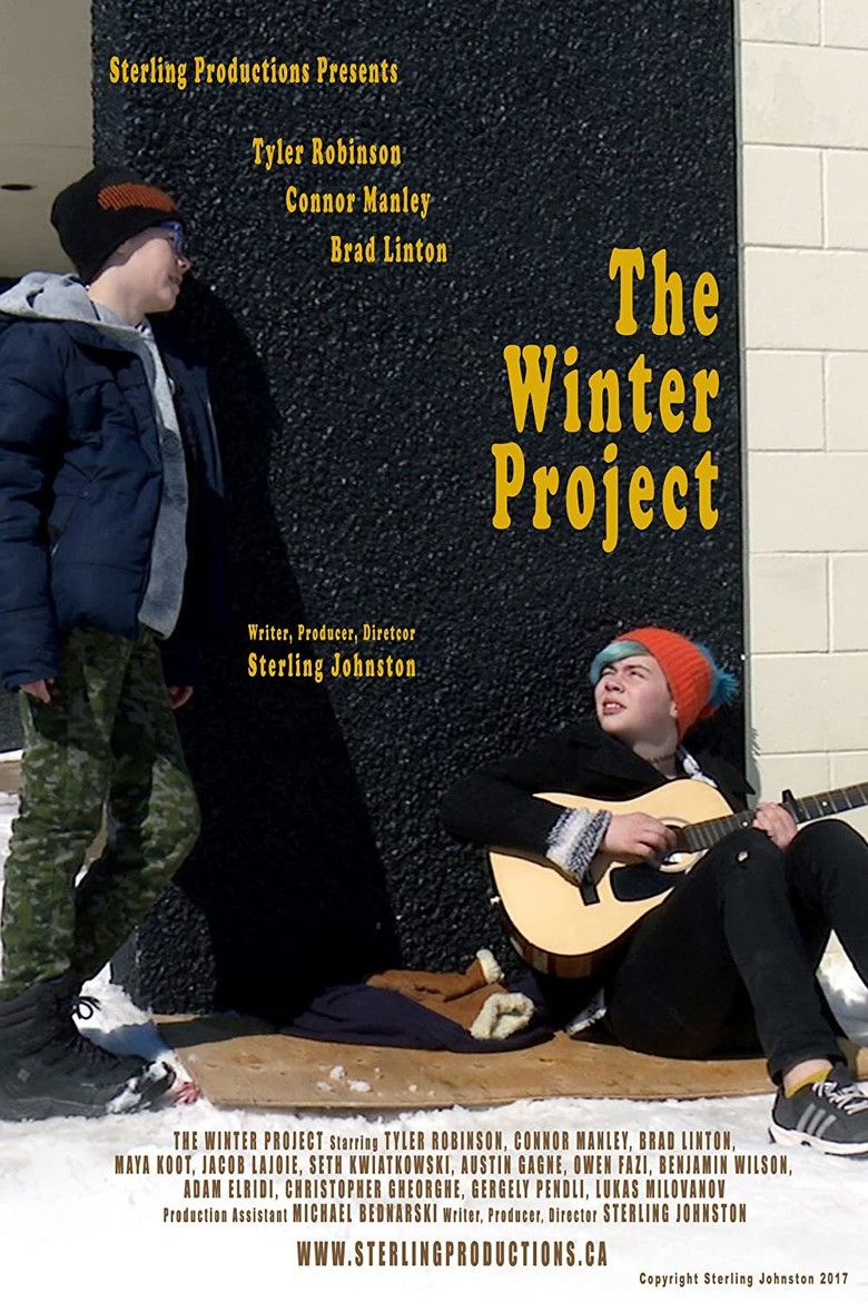 The Winter Project poster background