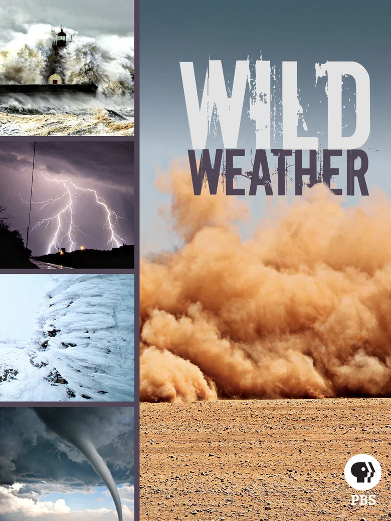 Wild Weather poster background