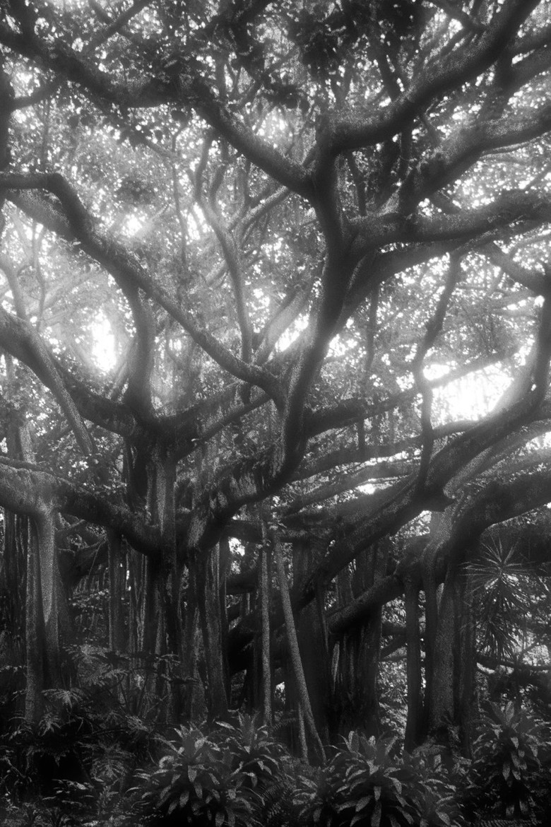 Forever and Forever poster background