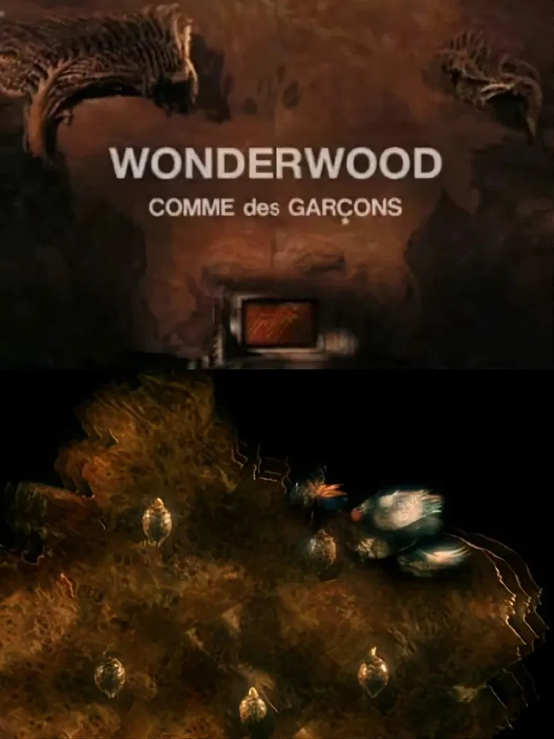 Wonderwood: Comme des garçons poster background
