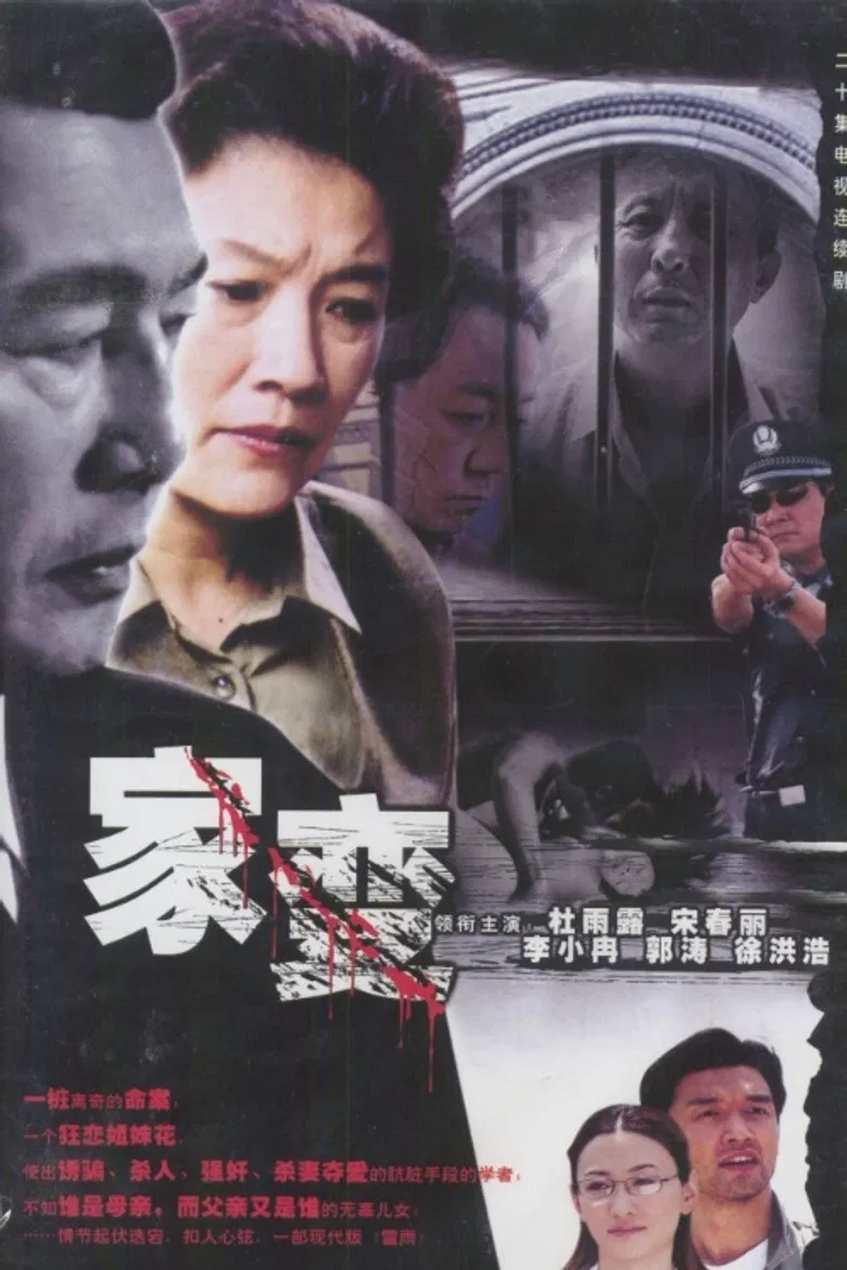 家变 poster background