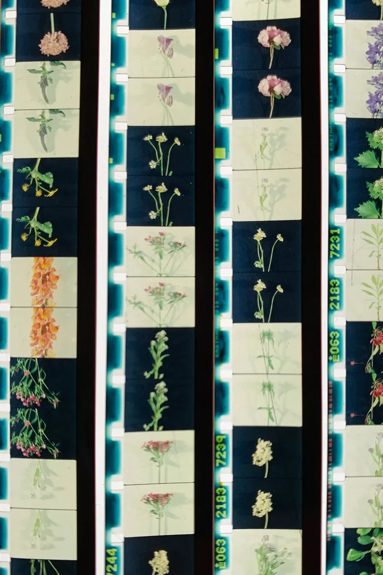 Lover, Lovers, Loving, Love poster background