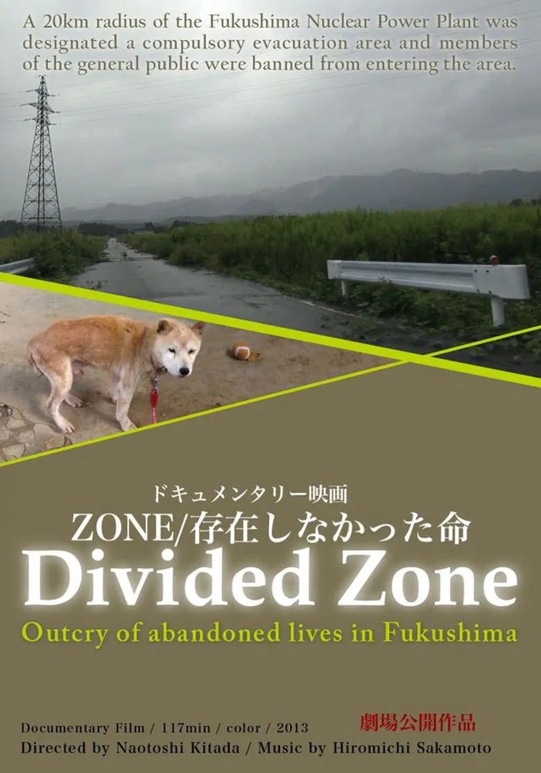 Divided Zone - Outcry of Abandoned Lives in Fukushima poster background