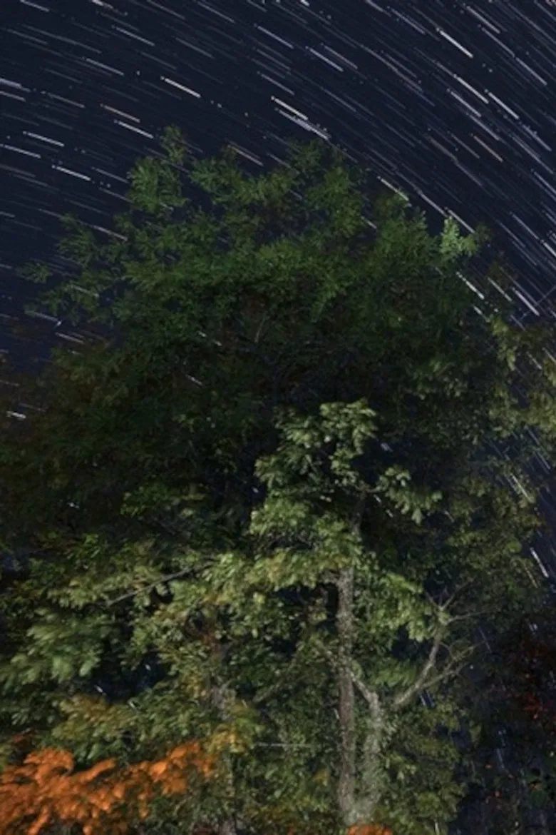 The Summer Triangle poster background