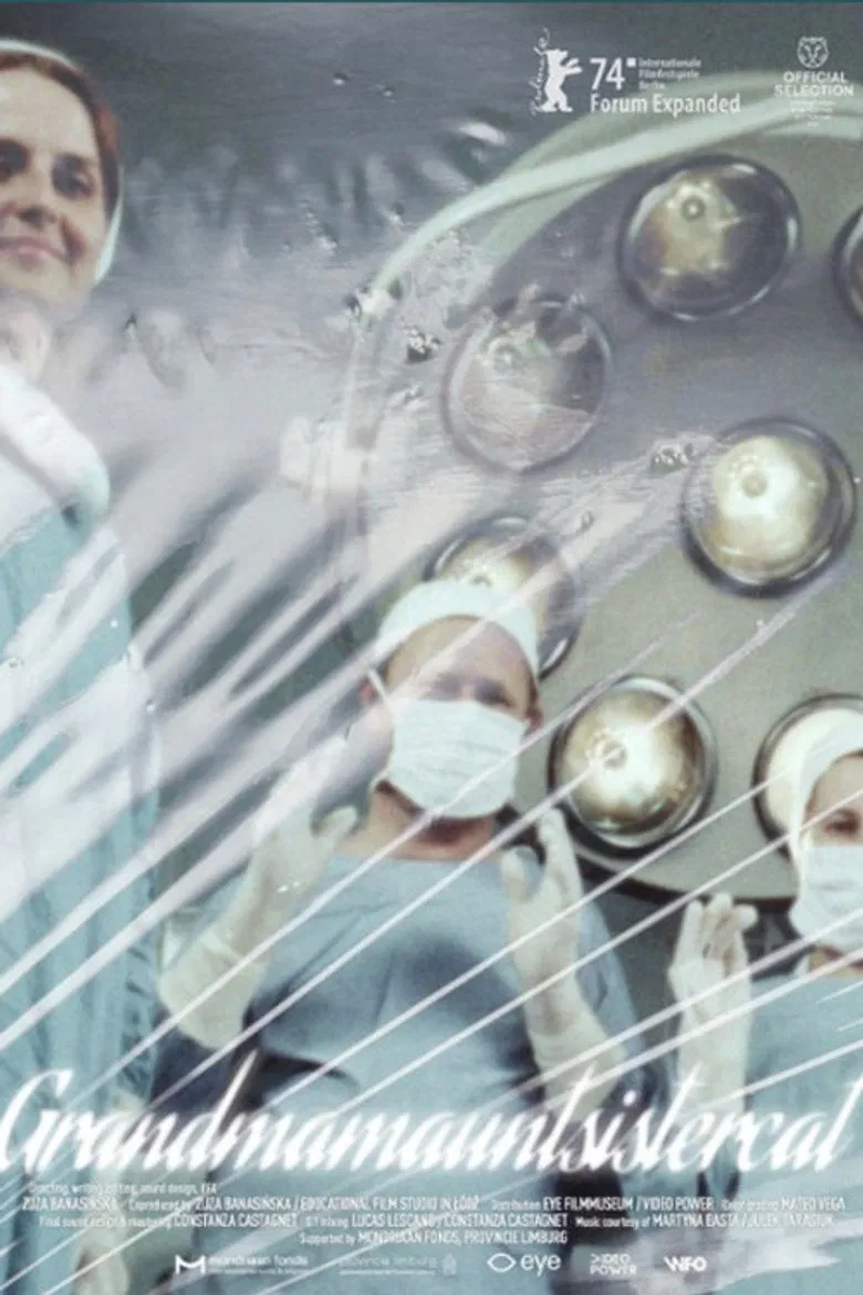 Grandmamauntsistercat poster background