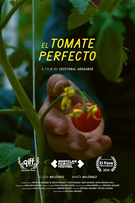 The Perfect Tomato poster background