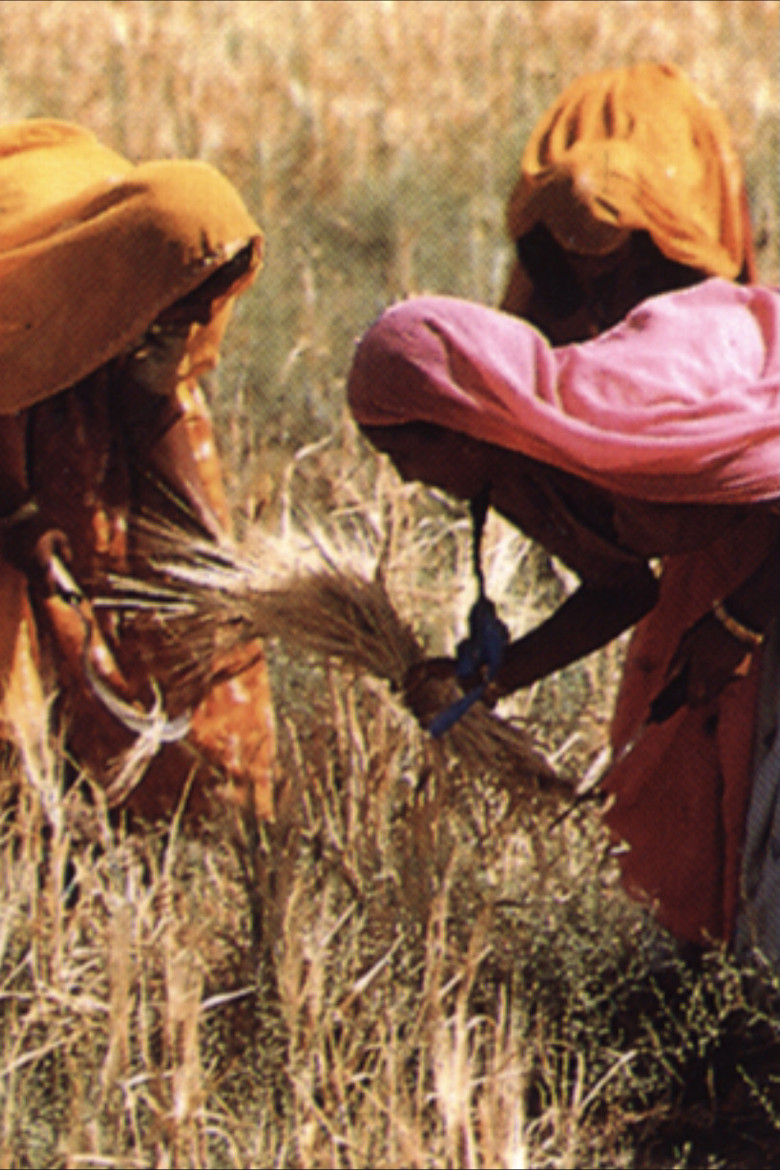 The Legacy of Malthus poster background