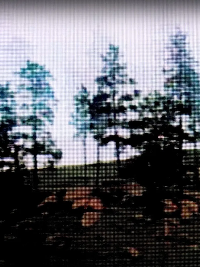 DREAMING poster background