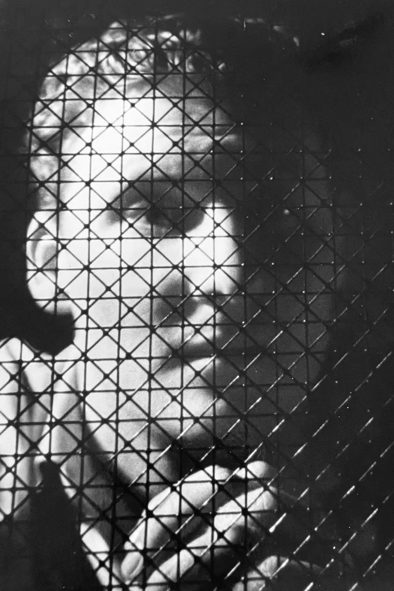 Fanatic poster background