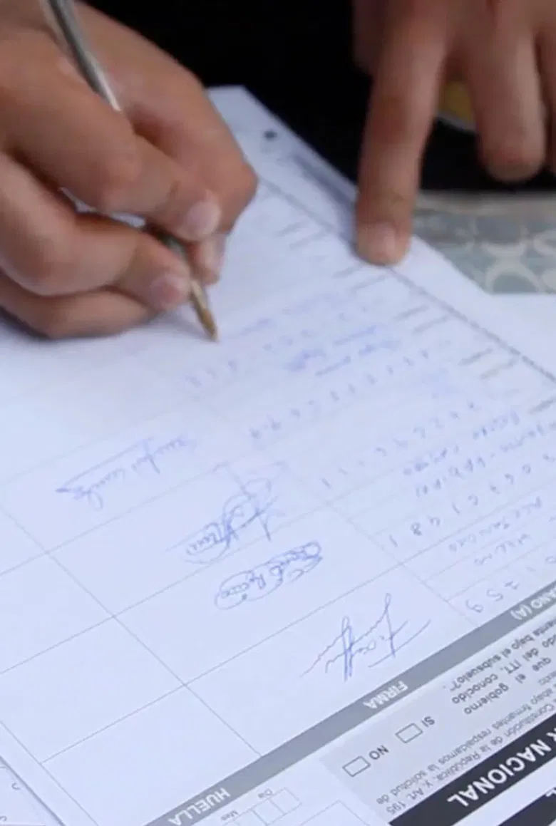 Toroboro: La Consulta Popular poster background