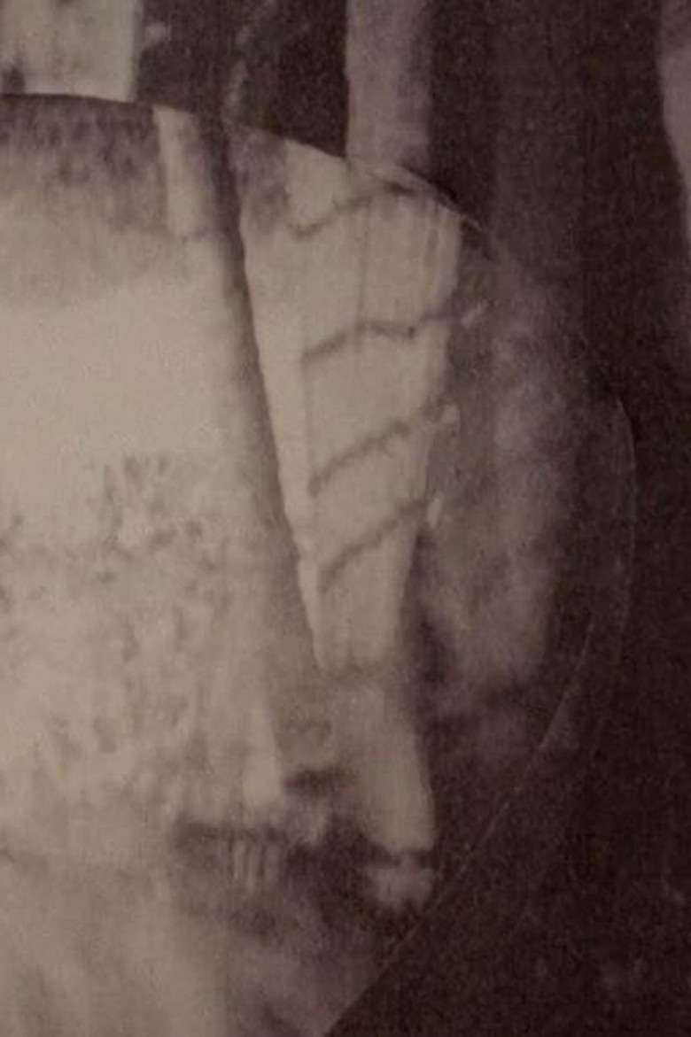 202 poster background