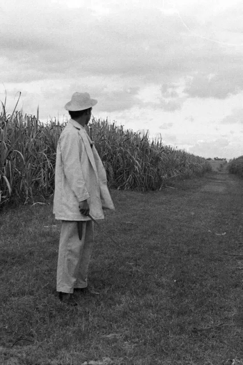 A Gavillero in the Sierra poster background