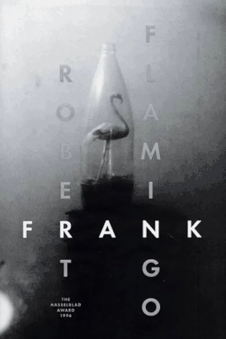 Flamingo poster background