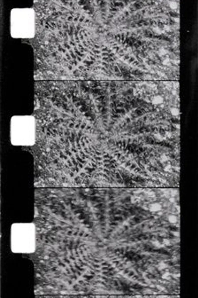 Le printemps poster background