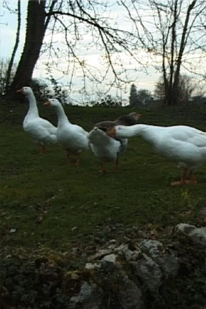 Le Jeu de l'oie du Professeur Poilibus poster background