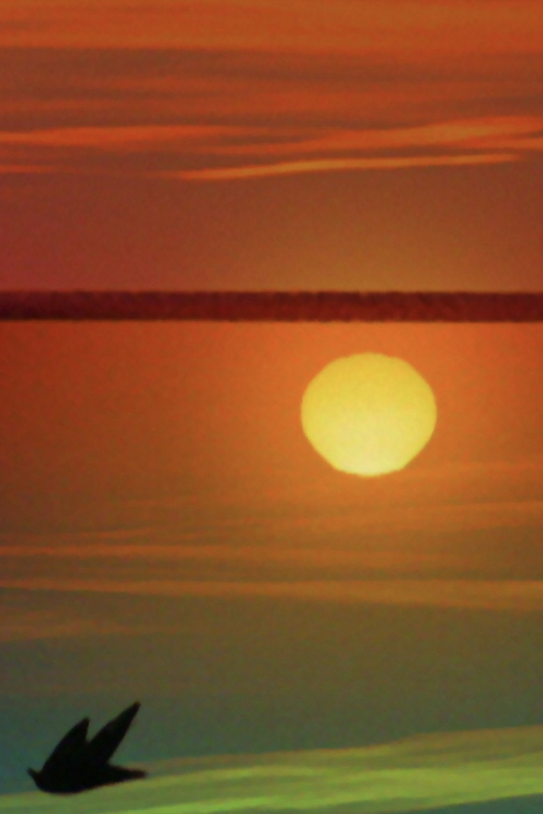 Morning After the Deluge poster background