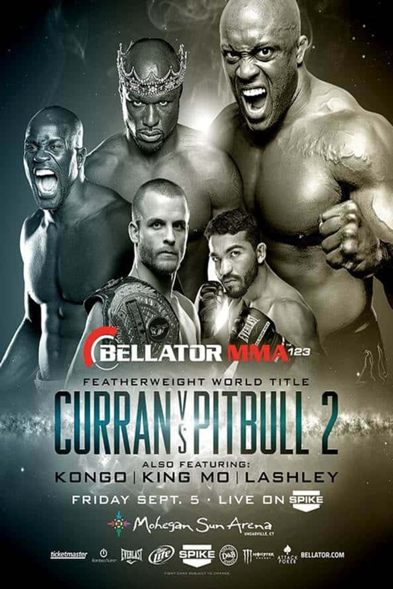 Bellator 123 poster background