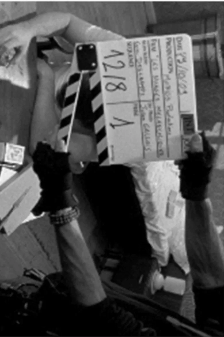 Mise à mort poster background