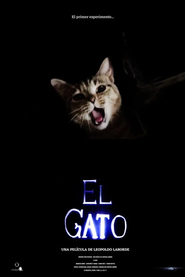 El gato poster background