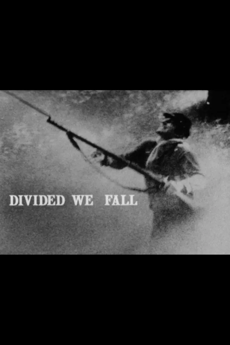 Divided We Fall poster background