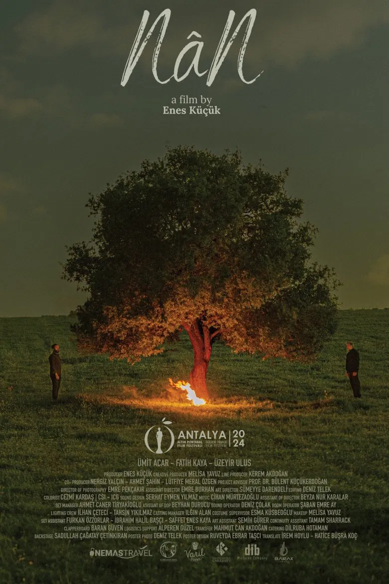 NâN poster background