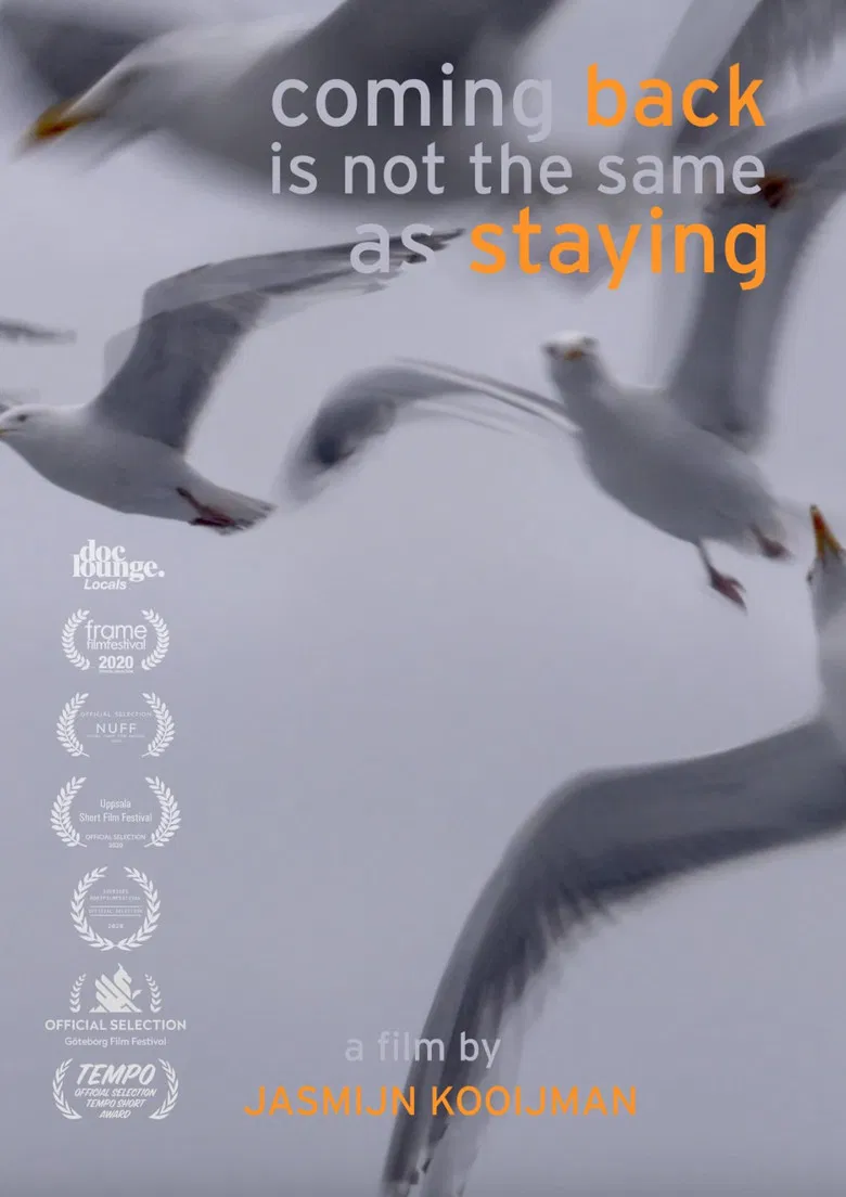 Coming back is not the same as staying poster background