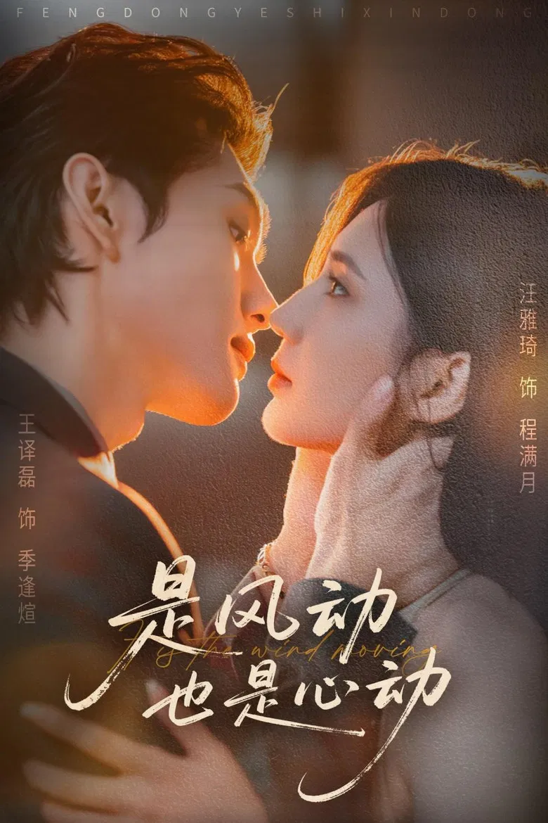 是风动也是心动 poster background