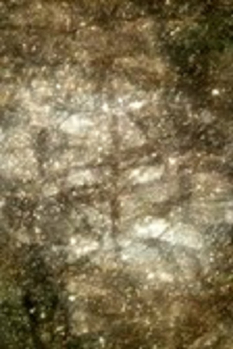 KONTRAST poster background