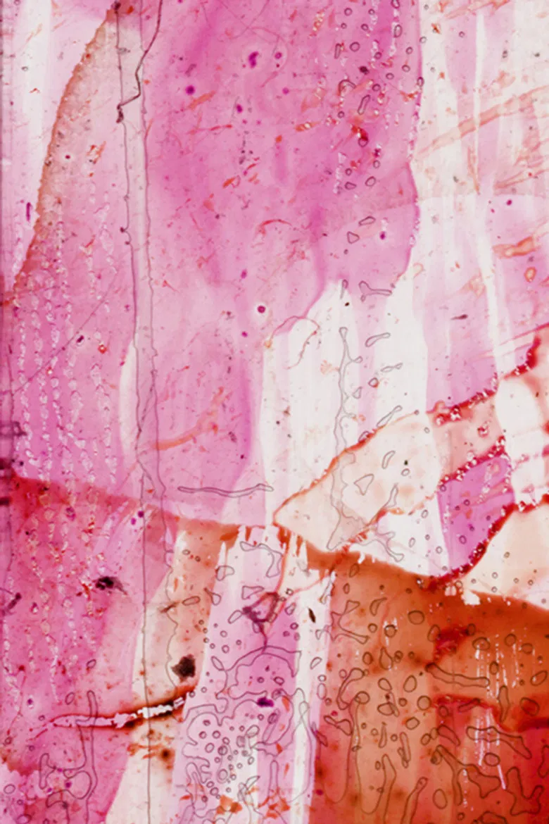 Xtended Release poster background