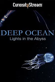 Deep Ocean: Lights in the Abyss poster background
