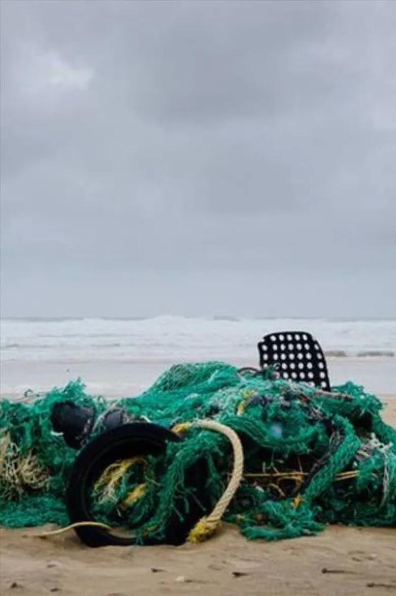 Second Nature poster background