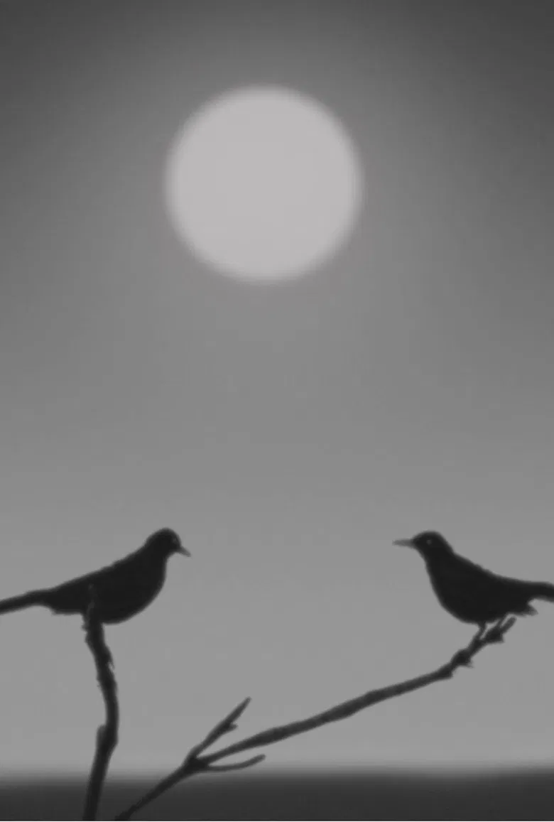 Birdsong poster background