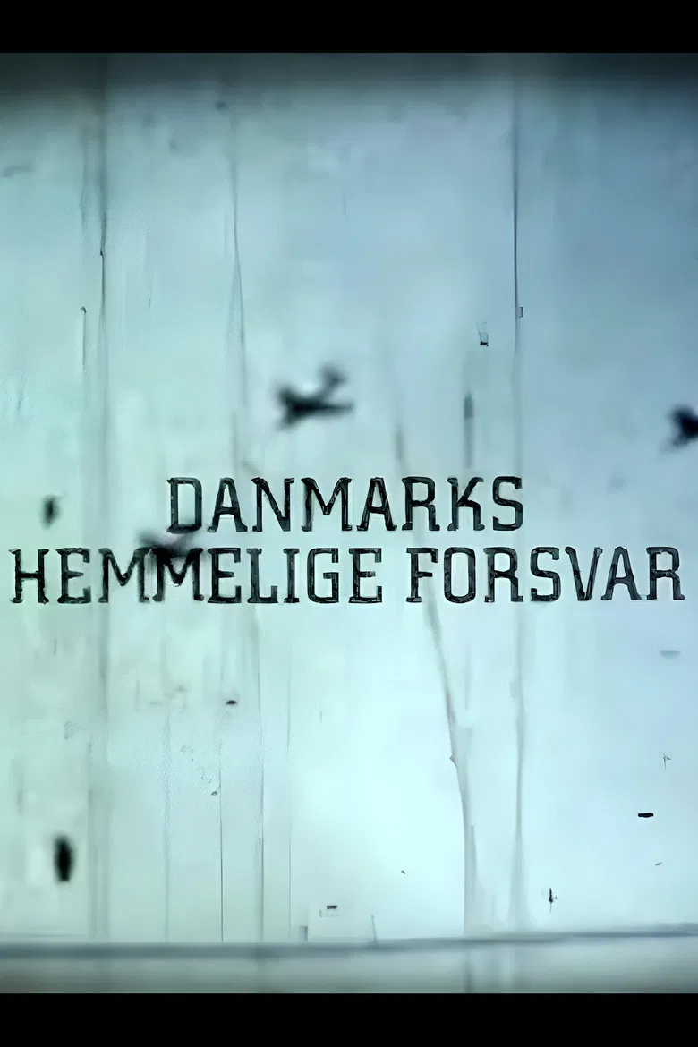 Danmarks Hemmelige Forsvar poster background