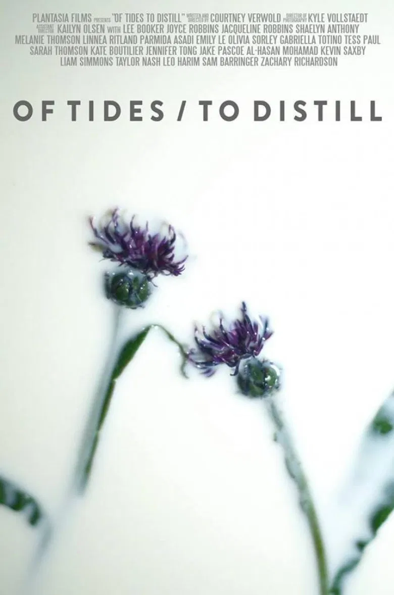 Of Tides/To Distill poster background