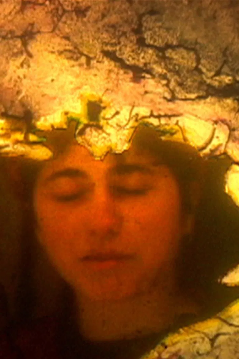 Self Portrait Post Mortem poster background