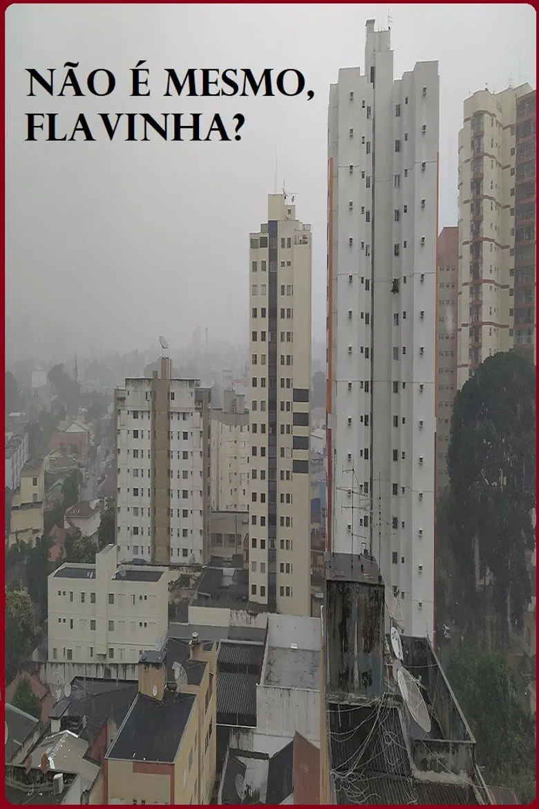 Não é mesmo, Flavinha? poster background