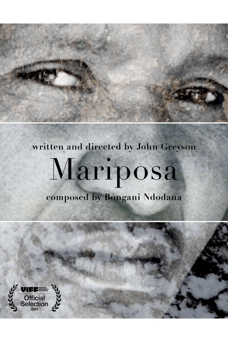 Mariposa poster background
