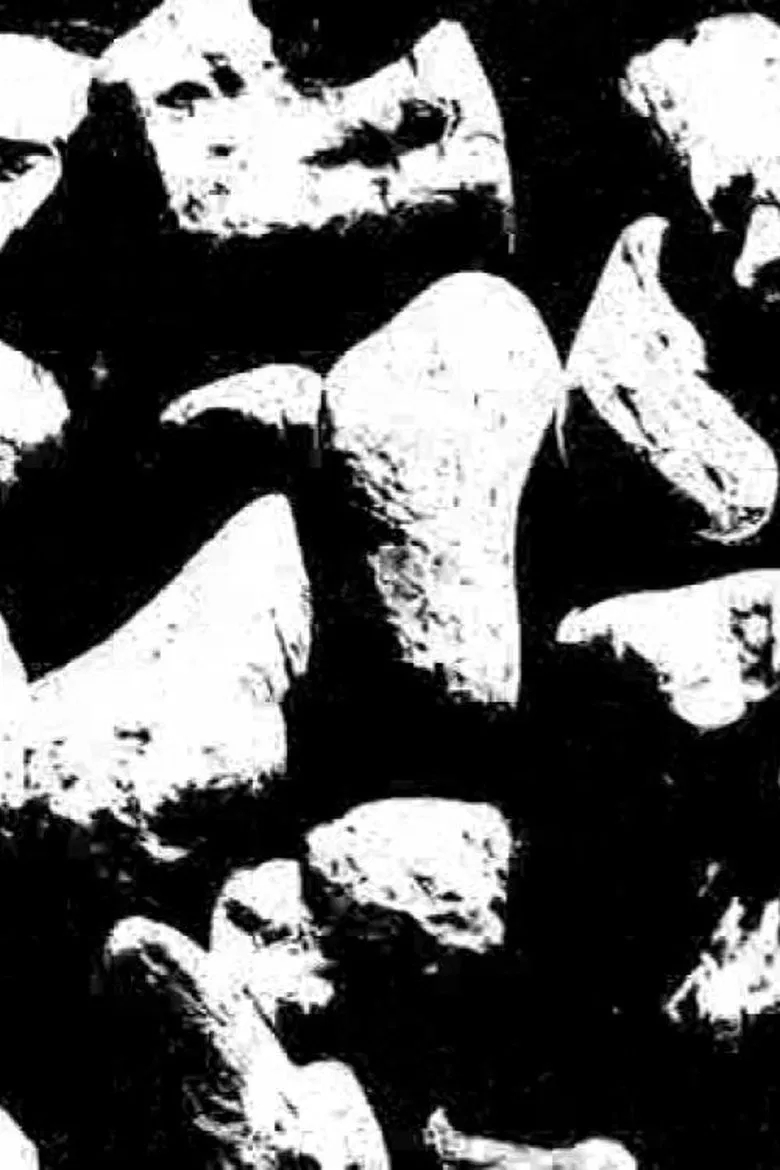 Ecosystem 25 ~ BlacK 2 poster background